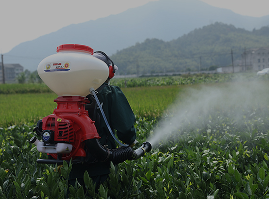 Pulverizador De Niebla De Mochila