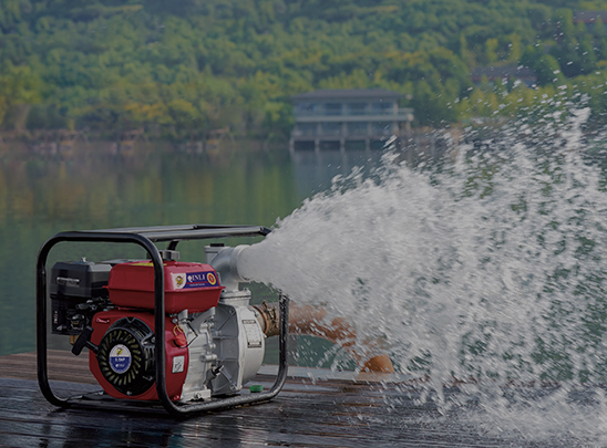 Bomba de agua de gasolina