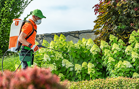 La innovación de la tecnología de la máquina de polvo de mochila con mochila lidera el desarrollo de la industria.