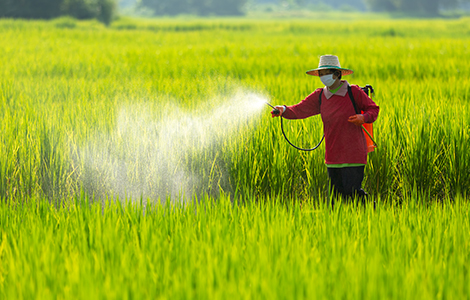 El tamaño del mercado de máquinas de pulverización de polvo con mochila en China superará los 500 millones de yuanes.